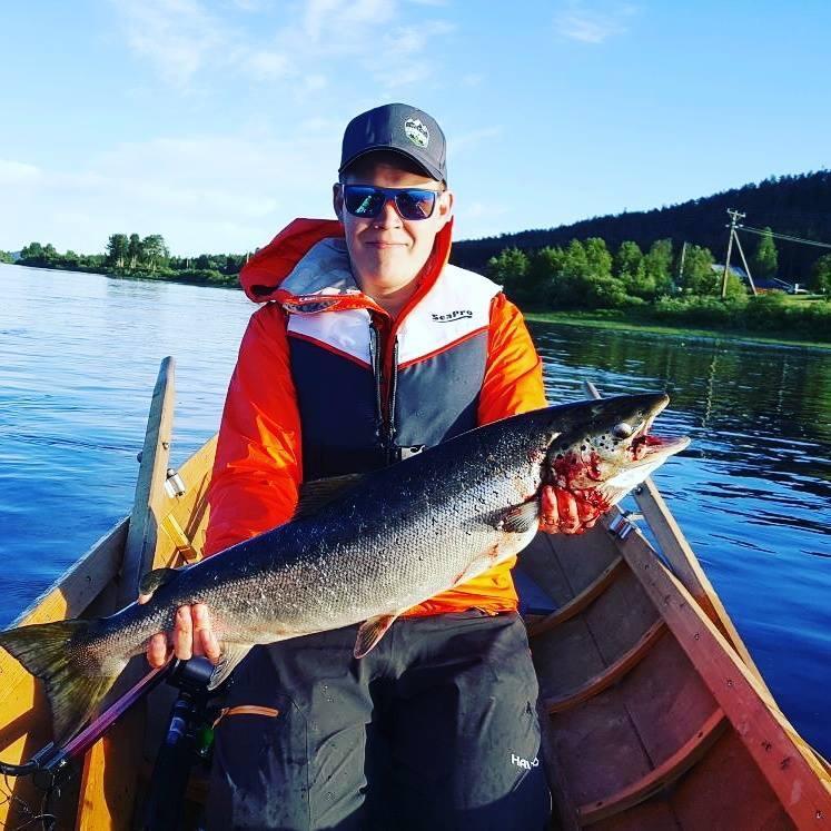 Arctic Camping Finland Hotel Pello Eksteriør billede